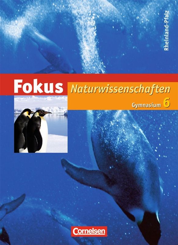 Fokus Naturwissenschaften - Gymnasium Rheinland-Pfalz - 6. Schuljahr