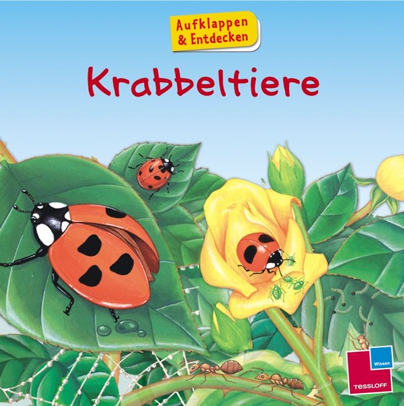 Aufklappen und Entdecken: Krabbeltiere