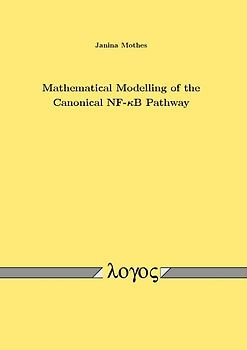 Mathematical Modelling of the Canonical NF- kappaB Pathway