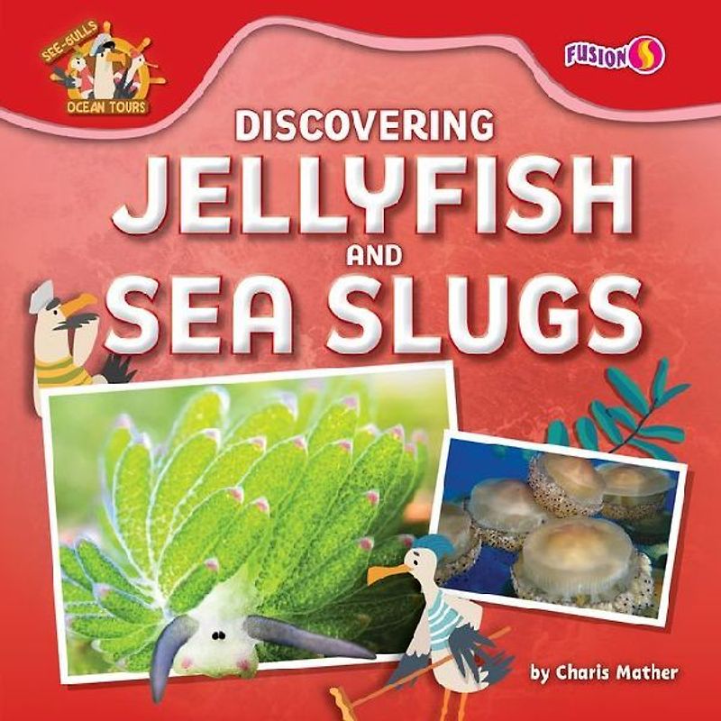 Discovering Jellyfish and Sea Slugs