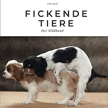 Fickende Tiere