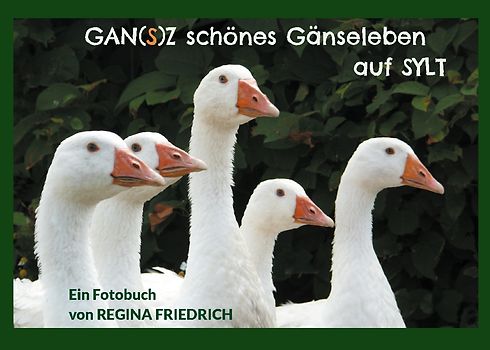 GAN(S)Z schönes Gänseleben auf SYLT