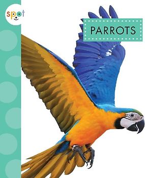 Parrots
