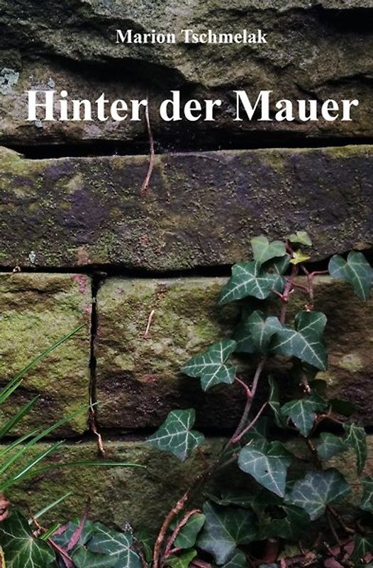 Hinter der Mauer