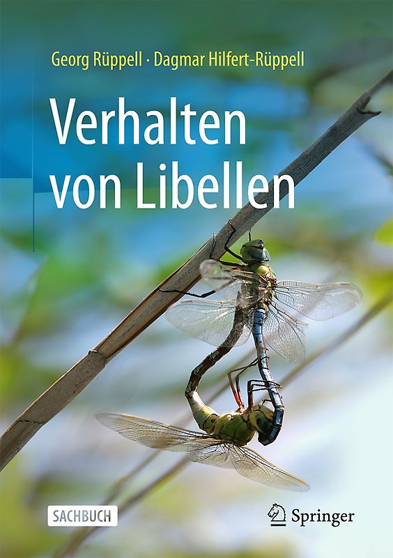 Verhalten von Libellen