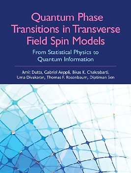 Quantum Phase Transitions in Transverse Field Spin Models
