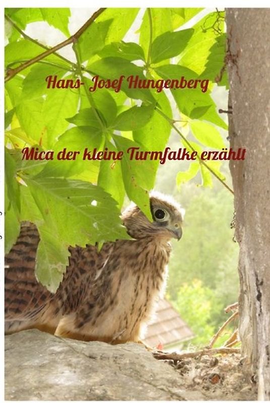 Mica der kleine Turmfalke erzählt