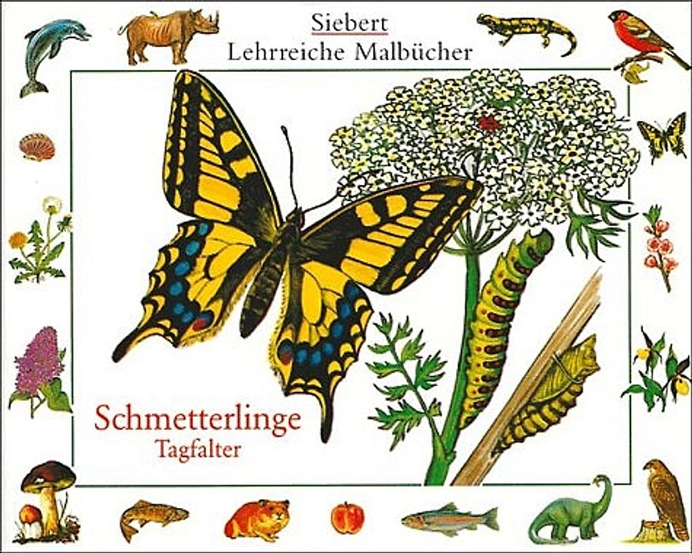 Schmetterlinge - Tagfalter. Malbuch. Verpackungseinheit
