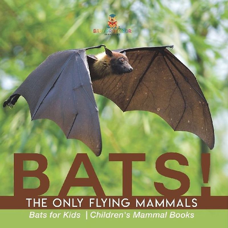 BATS! The Only Flying Mammals | Bats for Kids | Children's Mammal Books