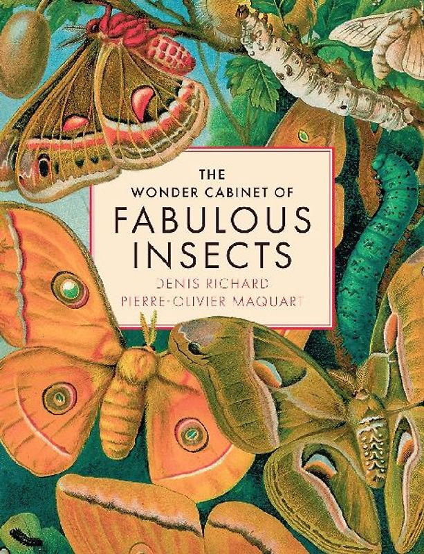 The Wonder Cabinet of Fabulous Insects