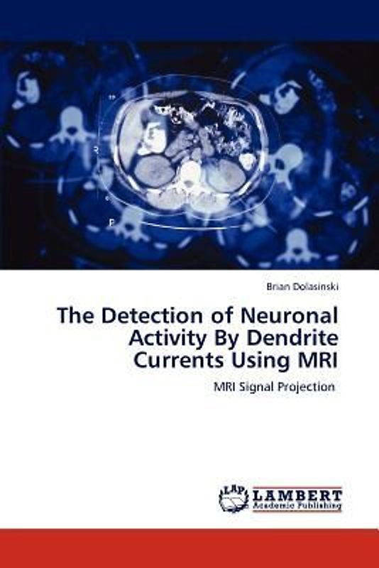 The Detection of Neuronal Activity By Dendrite Currents Using MRI