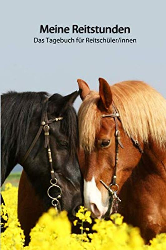 Meine Reitstunden Das Tagebuch für Reitschüler/innen: Mit liebevoll gestalteter Vorlage für schnelle, individuelle Einträge Deiner Reitstunden (Meine ... - weitere Pferde auf dem Cover, Band 4)