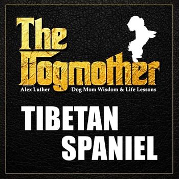 The Dogmother: Tibetan Spaniel: (Dog Mom Wisdom & Life Lessons)