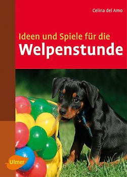 Ideen und Spiele für die Welpenstunde