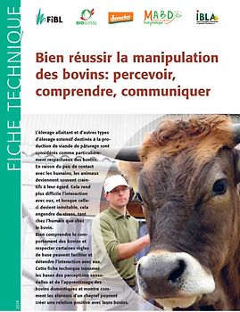 Bien réussir la manipulation des bovins: percevoir, comprendre, communiquer