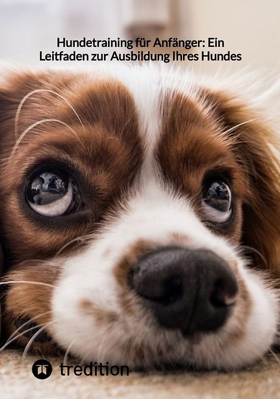 Hundetraining für Anfänger: Ein Leitfaden zur Ausbildung Ihres Hundes