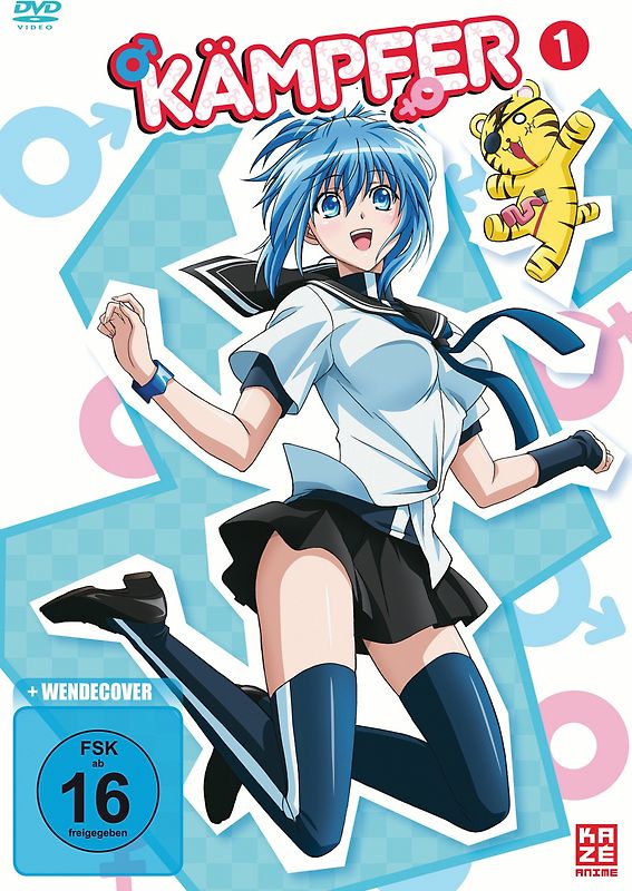 Kämpfer - Die Serie - Vol. 1 DVD