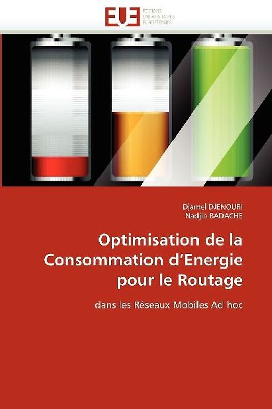 Optimisation de la Consommation d'Energie pour le Routage