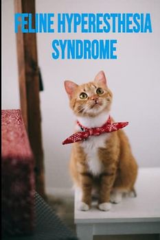 Feline Hyperesthesia Syndrome: What To Do And How To Easily Manage The Rolling Skin Disease In Depth