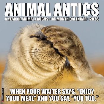 Animal Antics 2026 12 X 12 Wall Calendar