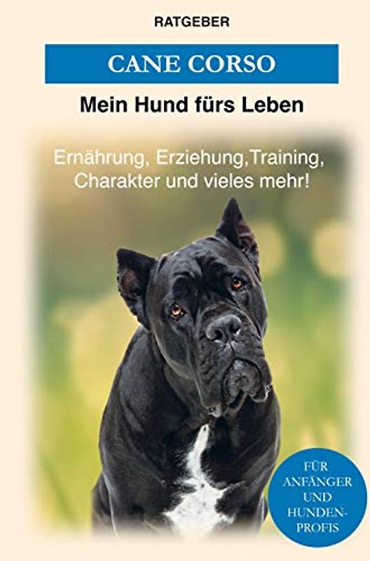 Cane Corso: Erziehung, Training, Charakter und vieles mehr von Cane Corso!