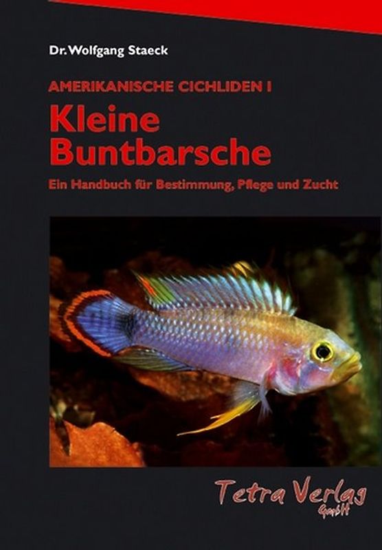 Kleine Buntbarsche