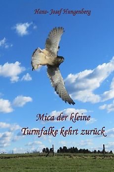 Mica der kleine Turmfalke kehrt zurück