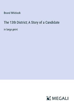 The 13th District; A Story of a Candidate