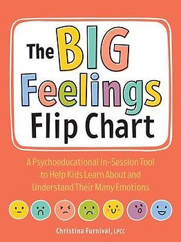 The Big Feelings Flip Chart