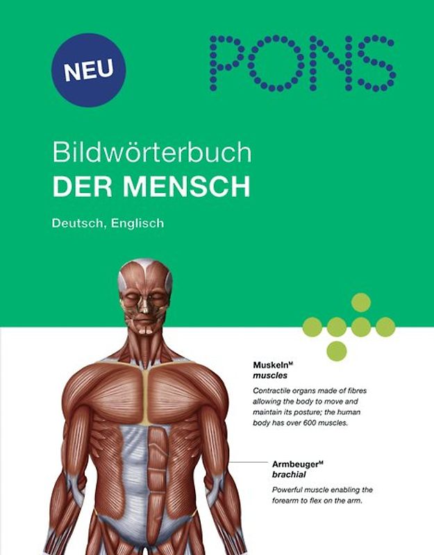 PONS Bildwörterbuch Der Mensch