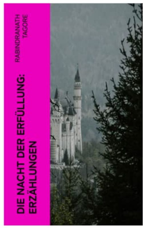 Die Nacht der Erfüllung: Erzählungen