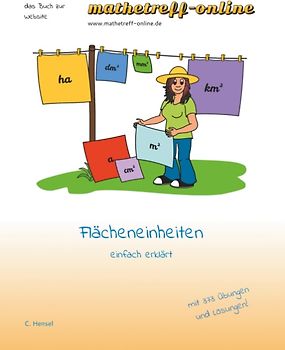 Flächeneinheiten