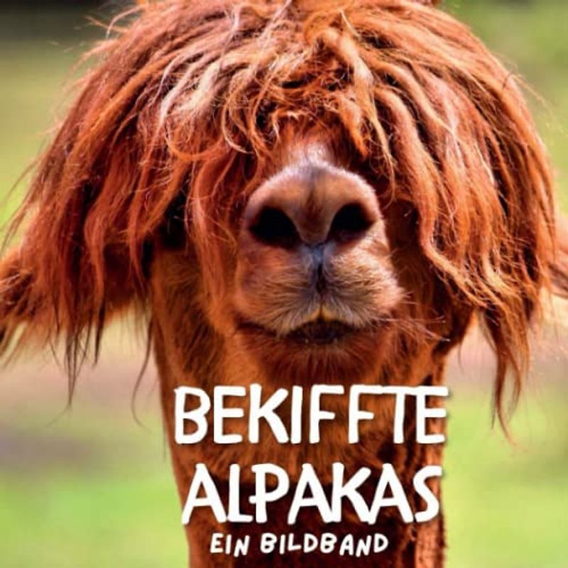 Bekiffte Alpakas