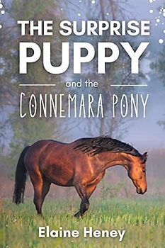 The Surprise Puppy and the Connemara Pony - The Coral Cove Horses Series (Coral Cove Horse Adventures for Girls and Boys, Band 3)