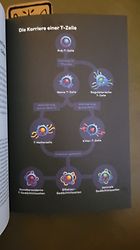 Kundenbild für Immun