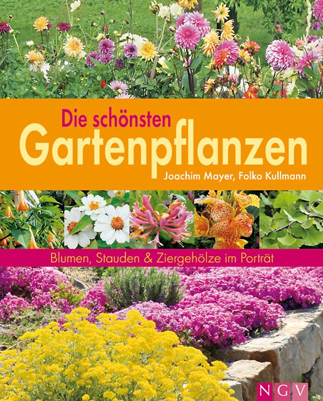 Die schönsten Gartenpflanzen