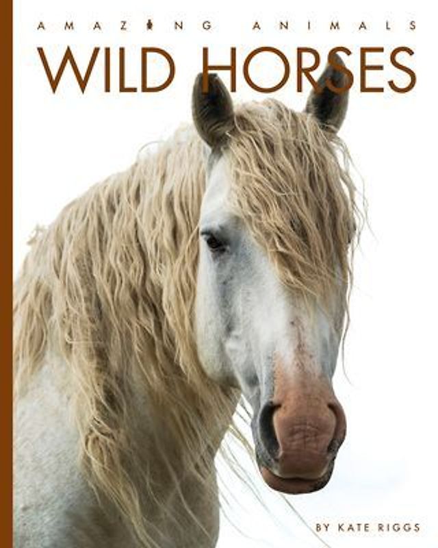 Wild Horses