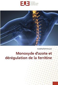 Monoxyde d'azote et dérégulation de la ferritine