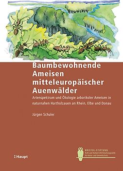 Baumbewohnende Ameisen mitteleuropäischer Auenwälder
