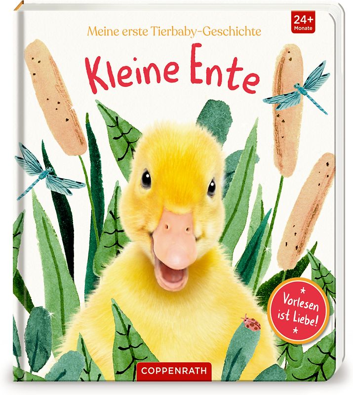Meine erste Tierbaby-Geschichte: Kleine Ente