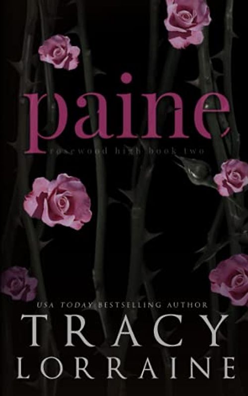 Paine: A High School Enemies to Lovers Romance (ROSEWOOD HIGH: SPECIAL EDITION, Band 2)