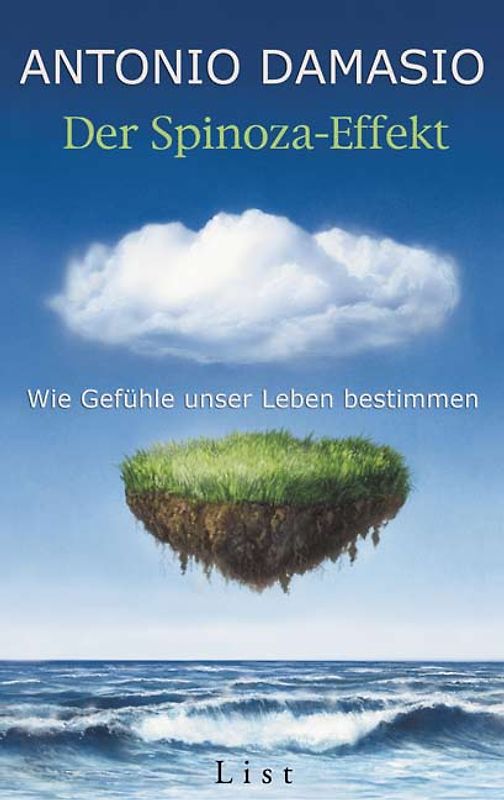Der Spinoza-Effekt