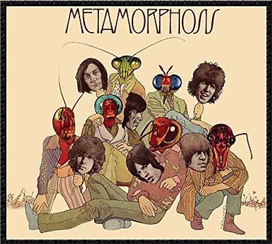 the Rolling Stones - Metamorphosis