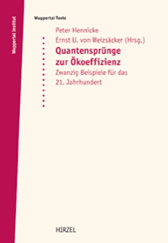 Quantensprünge zur Ökoeffizienz