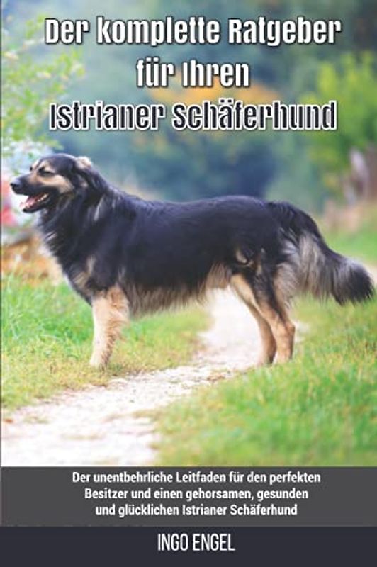 Der komplette Ratgeber für Ihren Istrianer Schäferhund: Der unentbehrliche Leitfaden für den perfekten Besitzer und einen gehorsamen, gesunden und glücklichen Istrianer Schäferhund