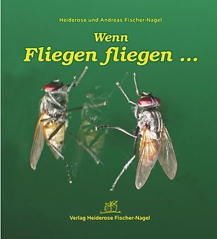 Wenn Fliegen fliegen...