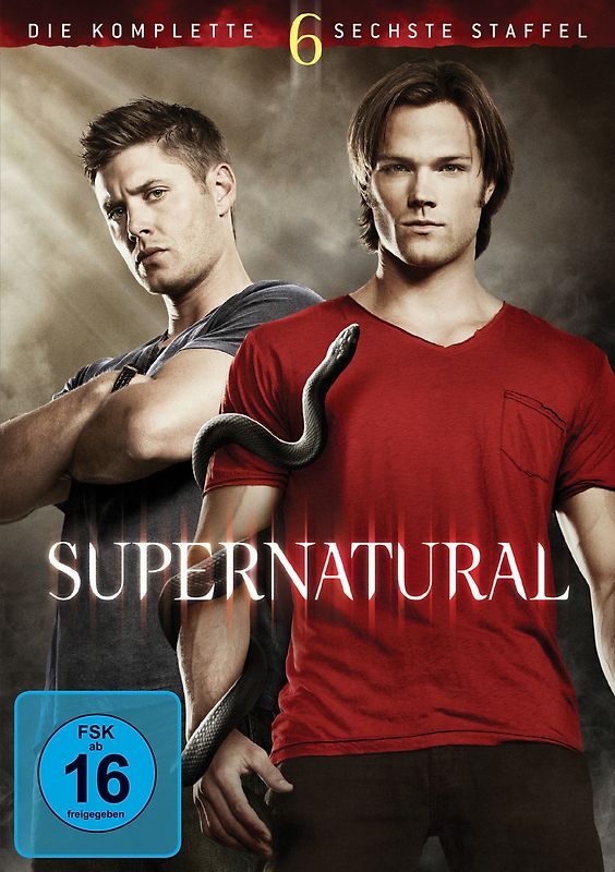 Supernatural - Die komplette sechste Staffel [6 DVDs] DVD