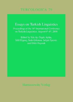 Essays on Turkish Linguistics