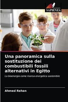 Una panoramica sulla sostituzione dei combustibili fossili alternativi in Egitto