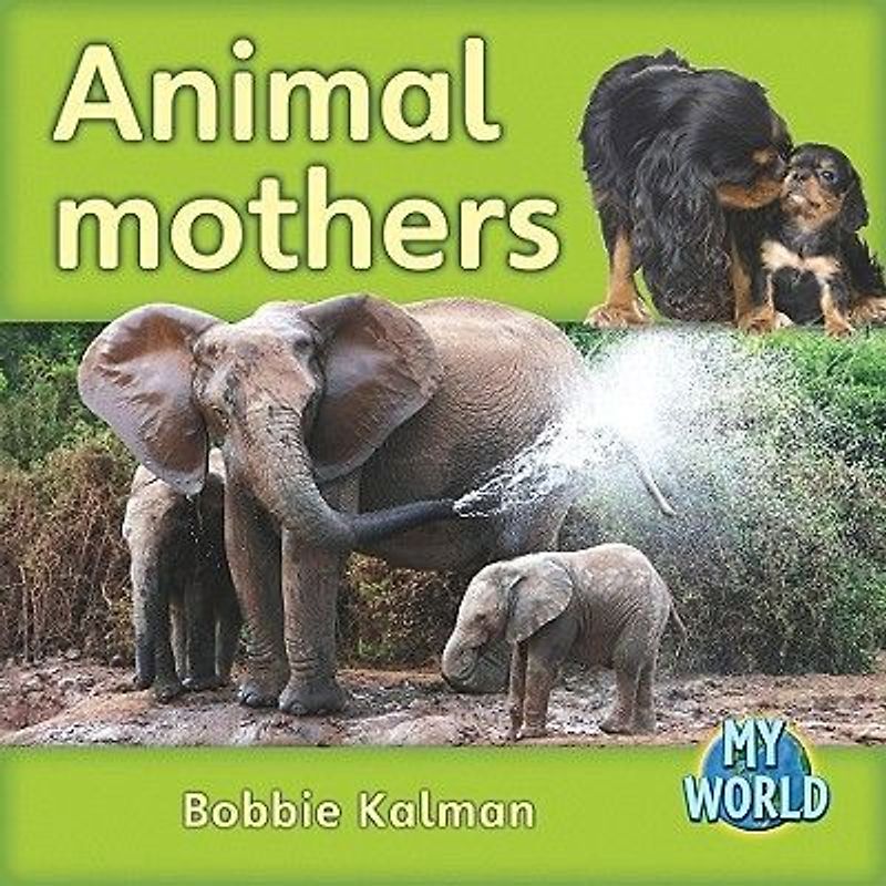 Animal Mothers